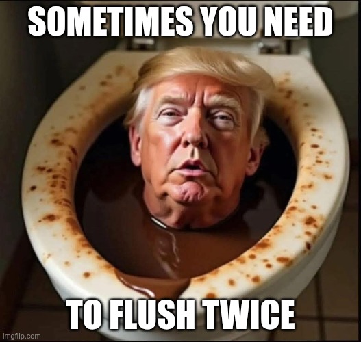 Flush Twice | SOMETIMES YOU NEED; TO FLUSH TWICE | image tagged in trunp,gop,maga,nazi,fascists,flush | made w/ Imgflip meme maker