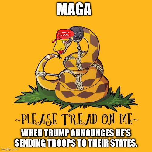 Gadsden flag please tread on me | MAGA; WHEN TRUMP ANNOUNCES HE'S SENDING TROOPS TO THEIR STATES. | image tagged in gadsden flag please tread on me | made w/ Imgflip meme maker