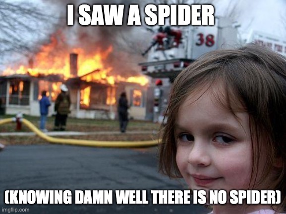 Disaster Girl Meme | I SAW A SPIDER; (KNOWING DAMN WELL THERE IS NO SPIDER) | image tagged in memes,disaster girl | made w/ Imgflip meme maker