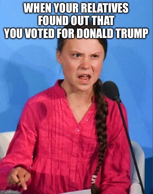 When your relatives found out that you voted for Trump | WHEN YOUR RELATIVES FOUND OUT THAT YOU VOTED FOR DONALD TRUMP; HOW DARE YOU? | image tagged in greta thunberg how dare you,how dare you,greta thunberg,donald trump,trump,democrats | made w/ Imgflip meme maker