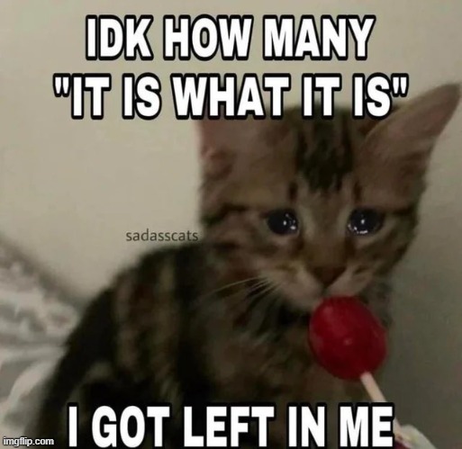 ahhhhhhhhhhhhhhhhhhhhhhhhhhhhhhhhhhhhhhhhhhhhhhhhhhhhhhhhhhhhhhhhhhh | image tagged in rmk | made w/ Imgflip meme maker
