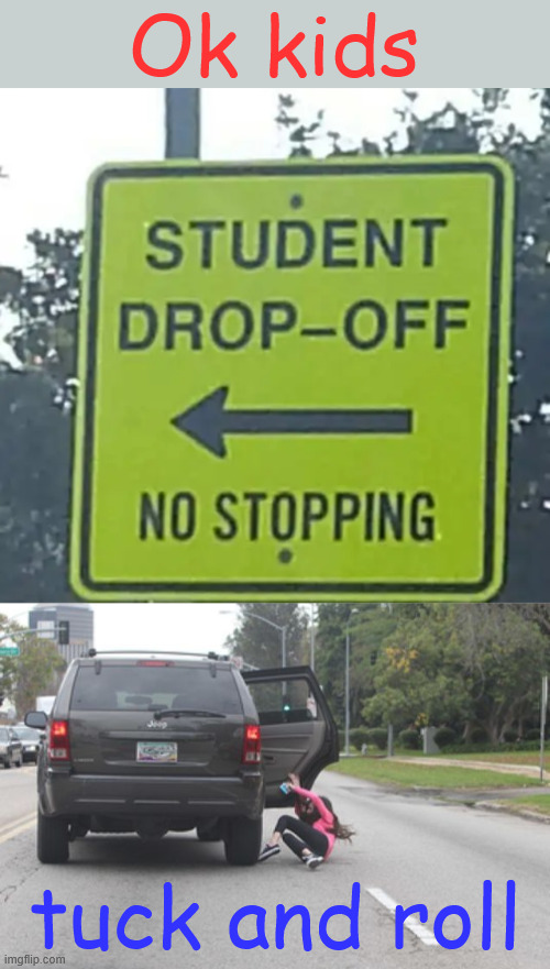 Tuck and roll | Ok kids; tuck and roll | image tagged in kicked out of car,dark humour,tuck and roll | made w/ Imgflip meme maker