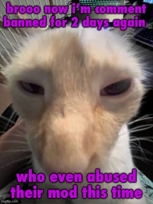 crack | brooo now i’m comment banned for 2 days again; who even abused their mod this time | image tagged in he full of rage | made w/ Imgflip meme maker