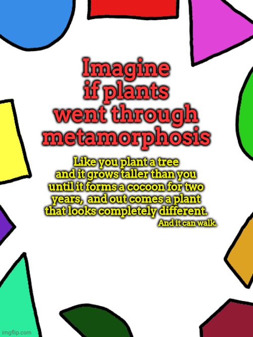 Shapes | Imagine if plants went through metamorphosis; Like you plant a tree and it grows taller than you until it forms a cocoon for two years,  and out comes a plant that looks completely different. And it can walk. | image tagged in shapes | made w/ Imgflip meme maker