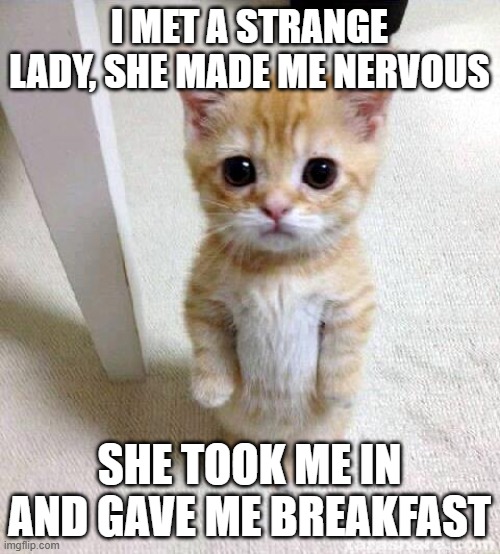 Cute Cat Meme | I MET A STRANGE LADY, SHE MADE ME NERVOUS SHE TOOK ME IN AND GAVE ME BREAKFAST | image tagged in memes,cute cat | made w/ Imgflip meme maker