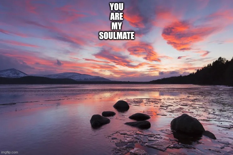 a | YOU
ARE
MY
SOULMATE | image tagged in soulmate sunset | made w/ Imgflip meme maker
