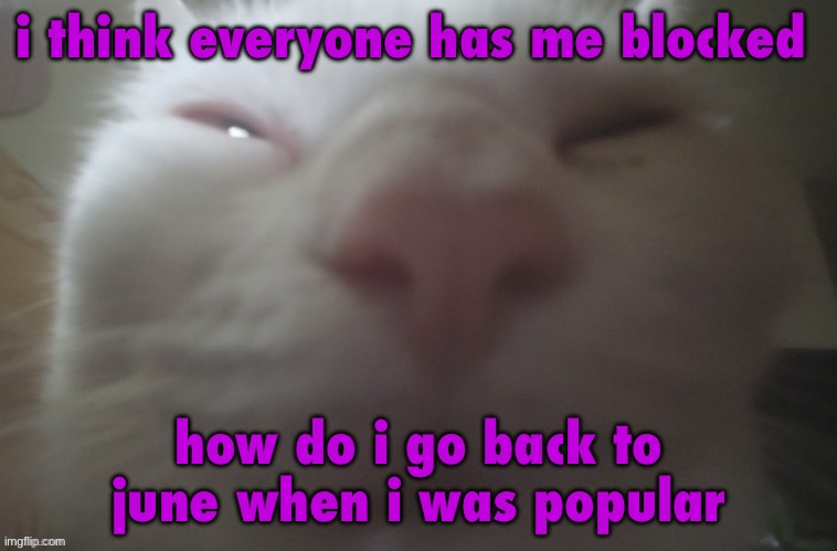 whuh??? | i think everyone has me blocked; how do i go back to june when i was popular | image tagged in whuh | made w/ Imgflip meme maker
