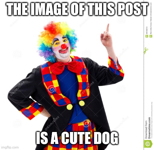 The Guy Above Me | THE IMAGE OF THIS POST IS A CUTE DOG | image tagged in the guy above me | made w/ Imgflip meme maker