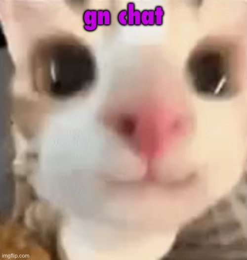 hai :3 | gn chat | image tagged in hai 3 | made w/ Imgflip meme maker