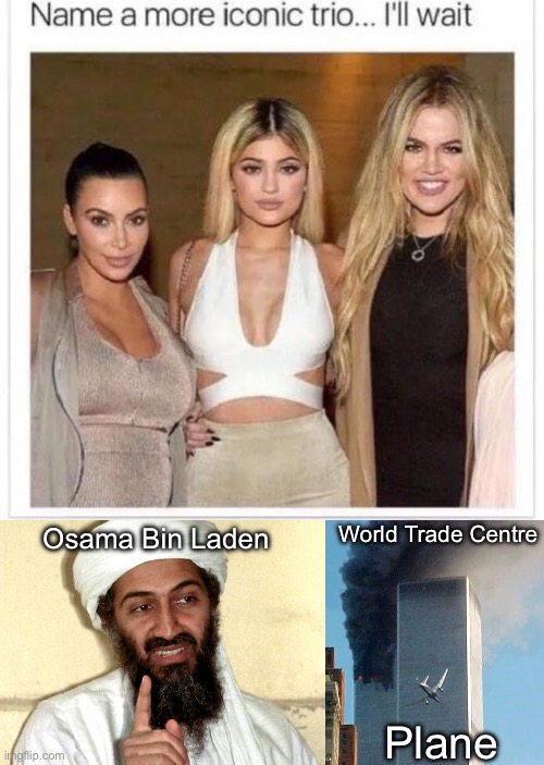 Not my idea (It’s used in a comment chain so you can find someone to blame | World Trade Centre; Osama Bin Laden; Plane | image tagged in name a more iconic trio,osama bin laden,blame,911,twin towers,airplane | made w/ Imgflip meme maker