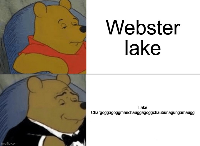 Webster lake's long name | Webster lake; Lake Chargoggagoggmanchauggagoggchaubunagungamaugg | image tagged in memes,tuxedo winnie the pooh,oh wow are you actually reading these tags,ok stop reading the tags | made w/ Imgflip meme maker
