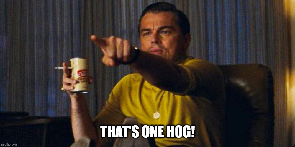 Leo pointing | THAT'S ONE HOG! | image tagged in leo pointing | made w/ Imgflip meme maker