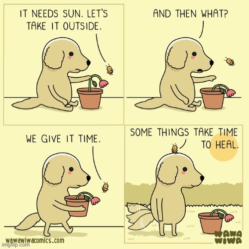 image tagged in dog,bee,plant,sun,time,healing | made w/ Imgflip meme maker
