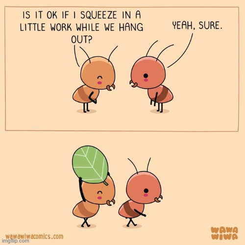 image tagged in ants,hanging out,work,leaf | made w/ Imgflip meme maker