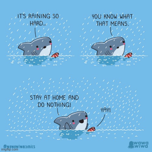 image tagged in shark,fish,rain,raining,stay at home,nothing | made w/ Imgflip meme maker