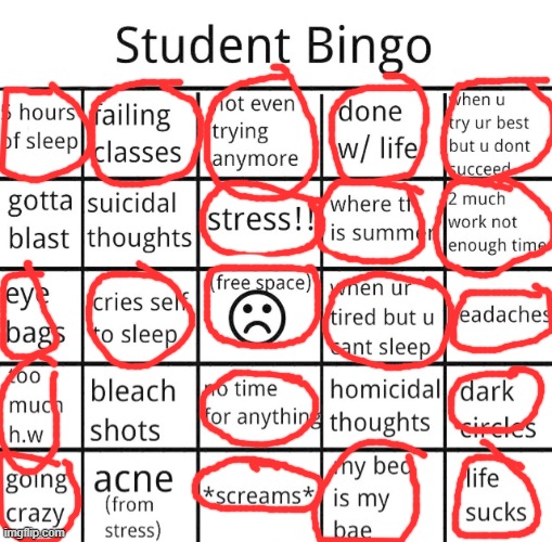 im not ok lol | image tagged in student bingo | made w/ Imgflip meme maker