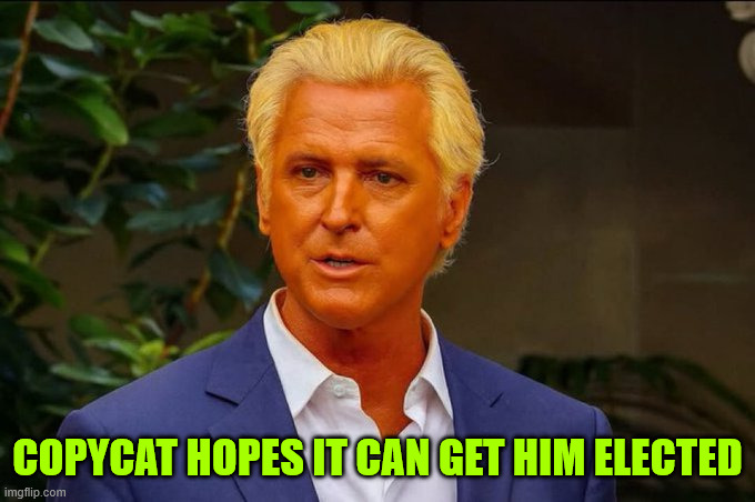 COPYCAT HOPES IT CAN GET HIM ELECTED | made w/ Imgflip meme maker