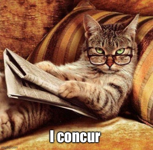 Smart Cat | I concur | image tagged in smart cat | made w/ Imgflip meme maker