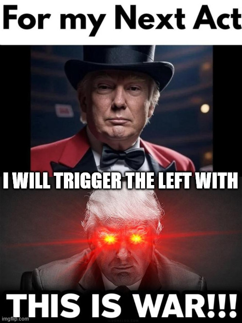 Another beautiful meltdown | I WILL TRIGGER THE LEFT WITH | image tagged in libs are so easily triggered | made w/ Imgflip meme maker