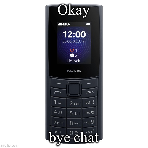 nokia 110 4g | Okay; bye chat | image tagged in nokia 110 4g | made w/ Imgflip meme maker