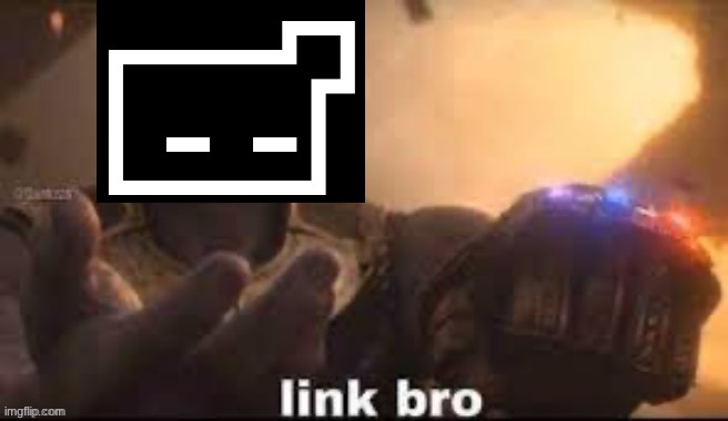 link bro | image tagged in link bro | made w/ Imgflip meme maker