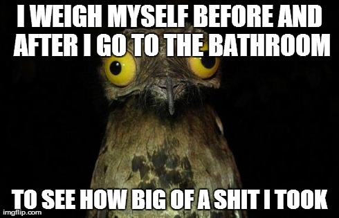 Weird Stuff I Do Potoo Meme | I WEIGH MYSELF BEFORE AND AFTER I GO TO THE BATHROOM TO SEE HOW BIG OF A SHIT I TOOK | image tagged in memes,weird stuff i do potoo | made w/ Imgflip meme maker