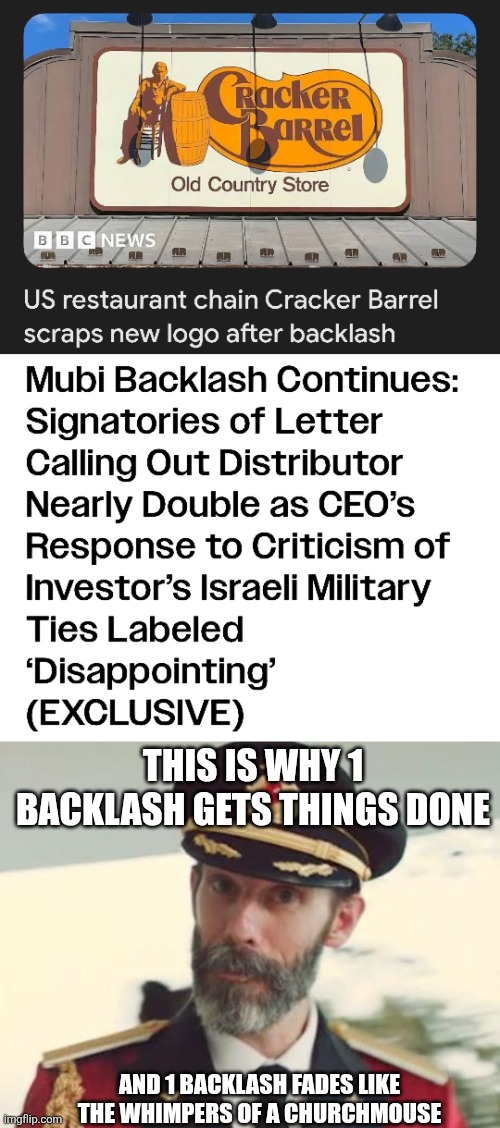 If u can't speak loudly cuz u can't get labeled "offended" just make the moves. "Pull all our product from mubi!" | THIS IS WHY 1 BACKLASH GETS THINGS DONE; AND 1 BACKLASH FADES LIKE THE WHIMPERS OF A CHURCHMOUSE | image tagged in captain obvious | made w/ Imgflip meme maker