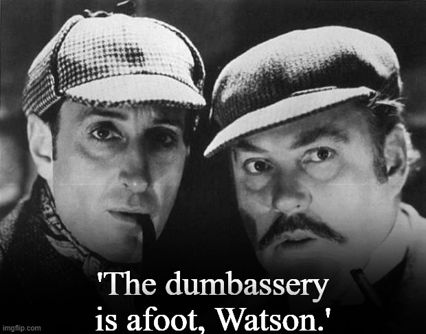 the dumbassery is afoot watson Blank Meme Template