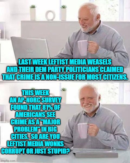 I would say media wonks are 70% corrupt and 30% stupid. | THIS WEEK AN AP-NORC SURVEY FOUND THAT 81% OF AMERICANS SEE CRIME AS A "MAJOR PROBLEM" IN BIG CITIES.  SO ARE YOU LEFTIST MEDIA WONKS CORRUPT OR JUST STUPID? LAST WEEK LEFTIST MEDIA WEASELS AND THEIR DEM PARTY POLITICIANS CLAIMED THAT CRIME IS A NON-ISSUE FOR MOST CITIZENS. | image tagged in hide the pain harold | made w/ Imgflip meme maker
