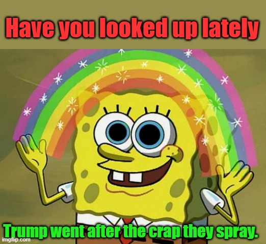 Lot of Dem voters are the kind of people who never see the truth. They never look up. | Have you looked up lately; Trump went after the crap they spray. | image tagged in memes,imagination spongebob | made w/ Imgflip meme maker