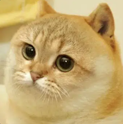 CATE Blank Meme Template