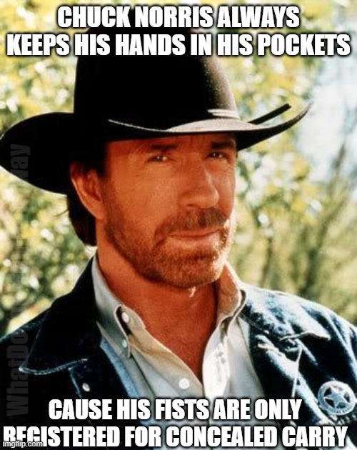 Lolll he should move down to FL so he can do the macarena | CHUCK NORRIS ALWAYS KEEPS HIS HANDS IN HIS POCKETS; WhatDoYouMemeAnyway; CAUSE HIS FISTS ARE ONLY REGISTERED FOR CONCEALED CARRY | image tagged in memes,chuck norris | made w/ Imgflip meme maker