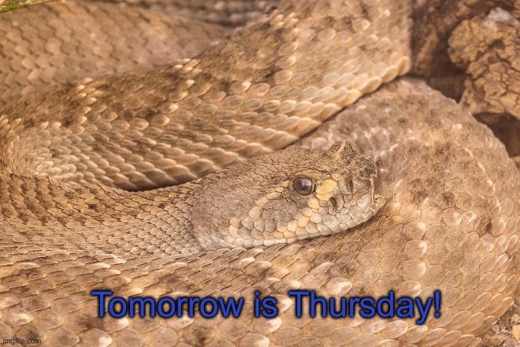 Thursday | Tomorrow is Thursday! | image tagged in thursday | made w/ Imgflip meme maker