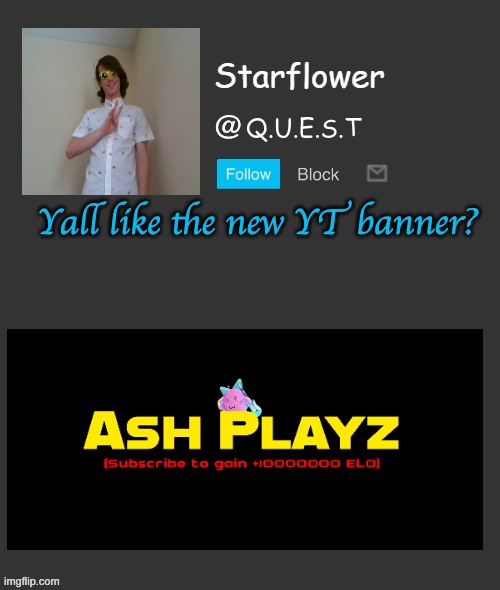 Starflower quest template | Yall like the new YT banner? | image tagged in starflower quest template | made w/ Imgflip meme maker
