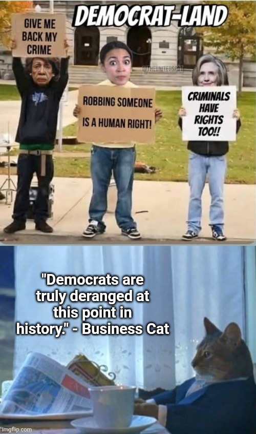 "Democrats are truly deranged at this point in history." - Business Cat | image tagged in memes,i should buy a boat cat | made w/ Imgflip meme maker