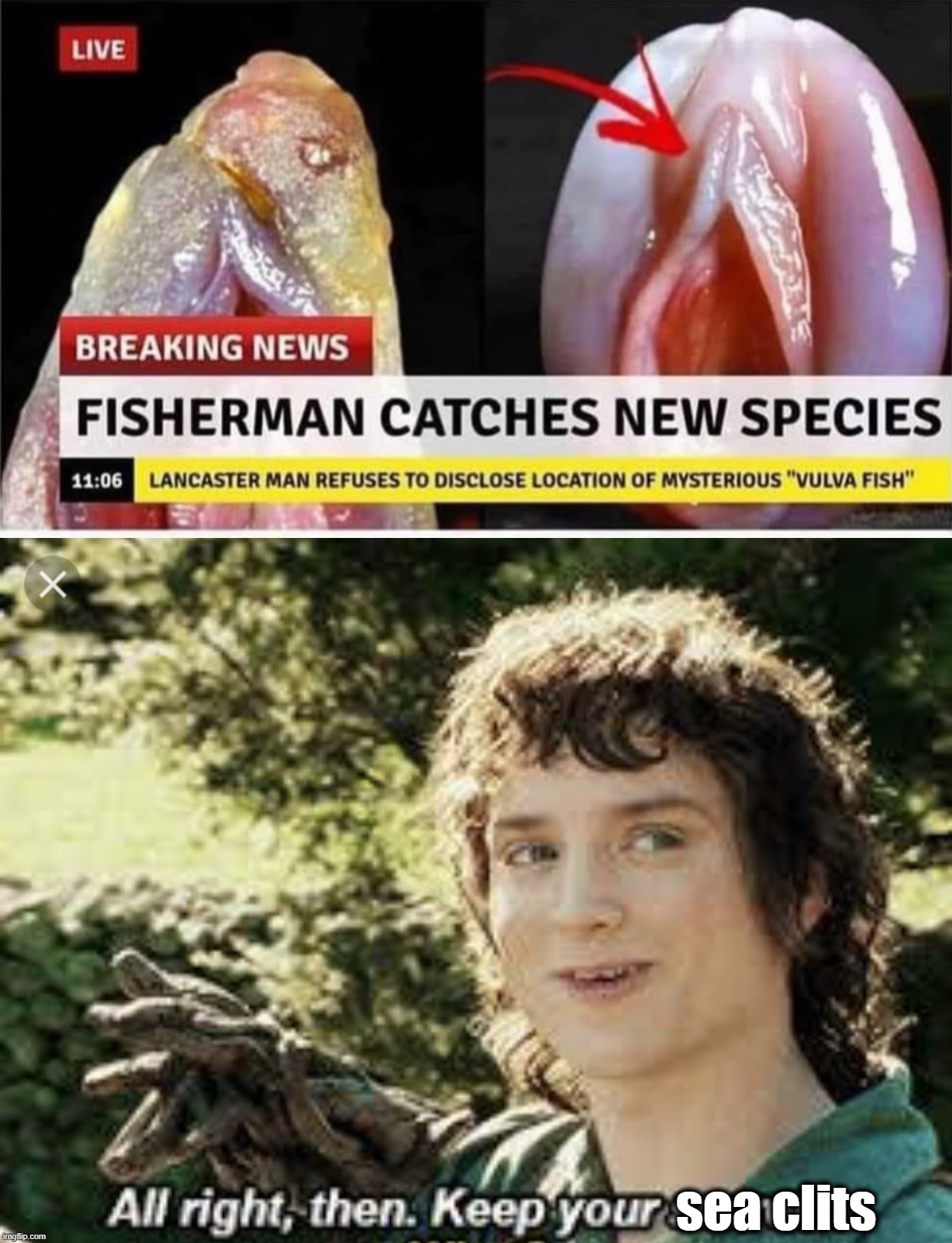 Secret fish | sea clits | image tagged in all right then keep your secrets | made w/ Imgflip meme maker