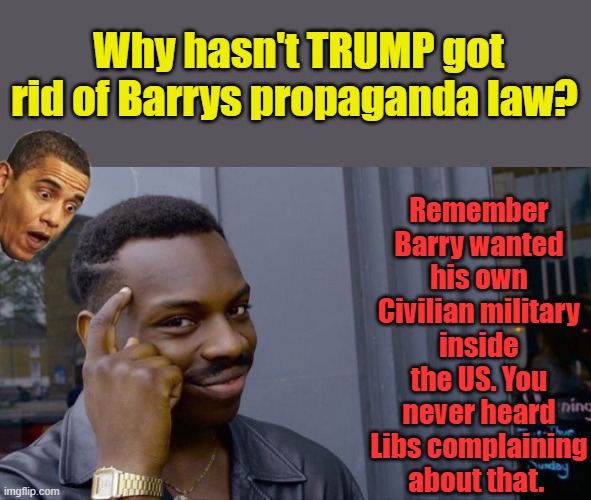 Roll Safe Think About It | Why hasn't TRUMP got rid of Barrys propaganda law? Remember Barry wanted his own Civilian military inside the US. You never heard Libs complaining about that. | image tagged in memes,roll safe think about it | made w/ Imgflip meme maker