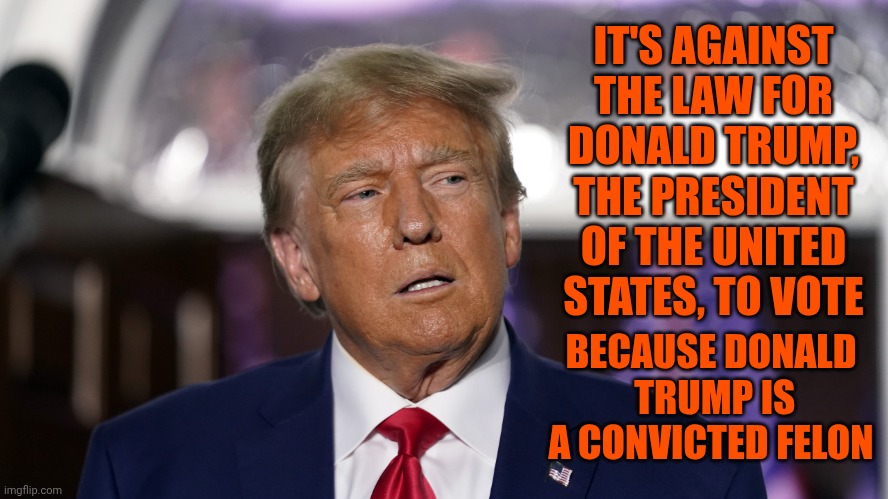 What A Time To Be Alive | IT'S AGAINST THE LAW FOR DONALD TRUMP, THE PRESIDENT OF THE UNITED STATES, TO VOTE; BECAUSE DONALD  TRUMP IS A CONVICTED FELON | image tagged in stupid trump,donald trump is an idiot,trump is a moron,trump is an asshole,trump is a convicted felon,memes | made w/ Imgflip meme maker