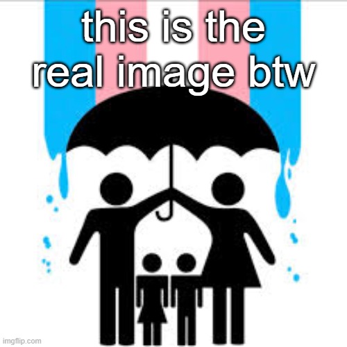 reverse searched the thing with the trans flags as people and them holding up a umbrella to stop the uk | this is the real image btw | made w/ Imgflip meme maker