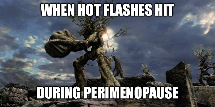 Perimenopausal LOTR | WHEN HOT FLASHES HIT; DURING PERIMENOPAUSE | image tagged in ent on fire,perimenopause,hot flashes | made w/ Imgflip meme maker