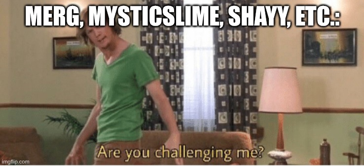 are you challenging me | MERG, MYSTICSLIME, SHAYY, ETC.: | image tagged in are you challenging me | made w/ Imgflip meme maker