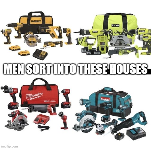 Men Sort Into | MEN SORT INTO THESE HOUSES | image tagged in men sort into | made w/ Imgflip meme maker