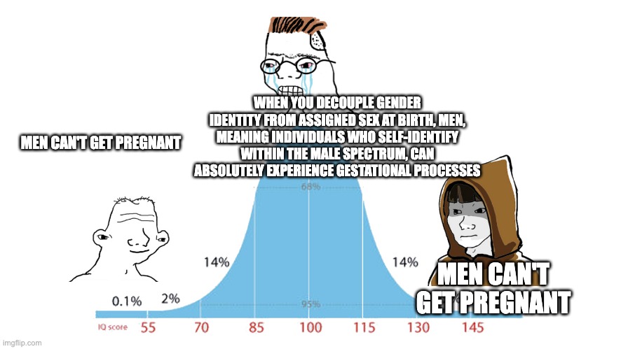 Midwit memes | WHEN YOU DECOUPLE GENDER IDENTITY FROM ASSIGNED SEX AT BIRTH, MEN, MEANING INDIVIDUALS WHO SELF-IDENTIFY WITHIN THE MALE SPECTRUM, CAN ABSOLUTELY EXPERIENCE GESTATIONAL PROCESSES; MEN CAN'T GET PREGNANT; MEN CAN'T GET PREGNANT | image tagged in midwit memes | made w/ Imgflip meme maker