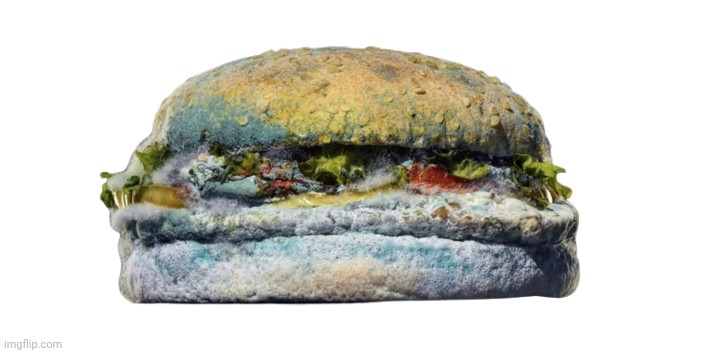 MOLDY AHH BURGER ? | image tagged in moldy ahh burger | made w/ Imgflip meme maker