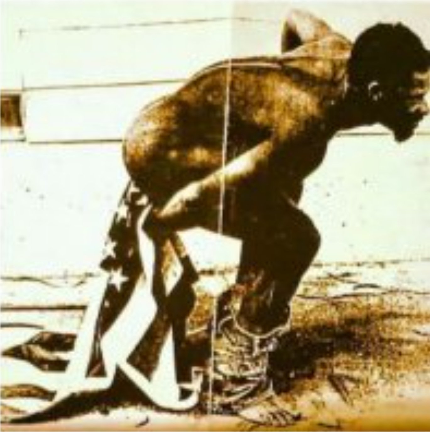 man wiping ass with US flag Blank Meme Template