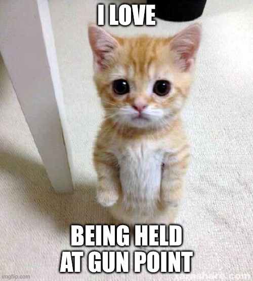 Cute Cat | I LOVE; BEING HELD AT GUN POINT | image tagged in memes,cute cat | made w/ Imgflip meme maker