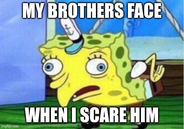 Mocking Spongebob Meme | MY BROTHERS FACE; WHEN I SCARE HIM | image tagged in memes,mocking spongebob | made w/ Imgflip meme maker