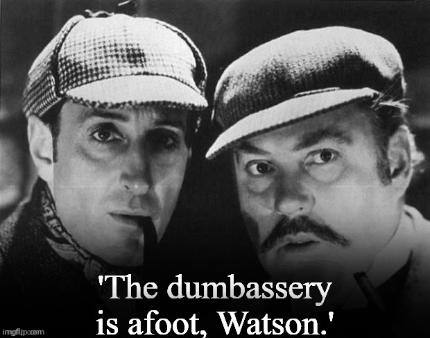 the dumbassery is afoot watson | image tagged in the dumbassery is afoot watson | made w/ Imgflip meme maker