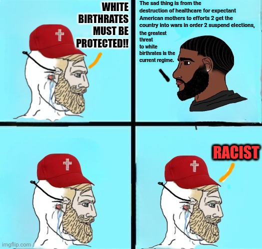 No no. The wars will just be America bombing the countries easy-peezy no boots on the ground lol | The sad thing is from the destruction of healthcare for expectant American mothers to efforts 2 get the country into wars in order 2 suspend elections, WHITE BIRTHRATES MUST BE PROTECTED!! the greatest threat to white birthrates is the current regime. RACIST | image tagged in funny,stupid people | made w/ Imgflip meme maker