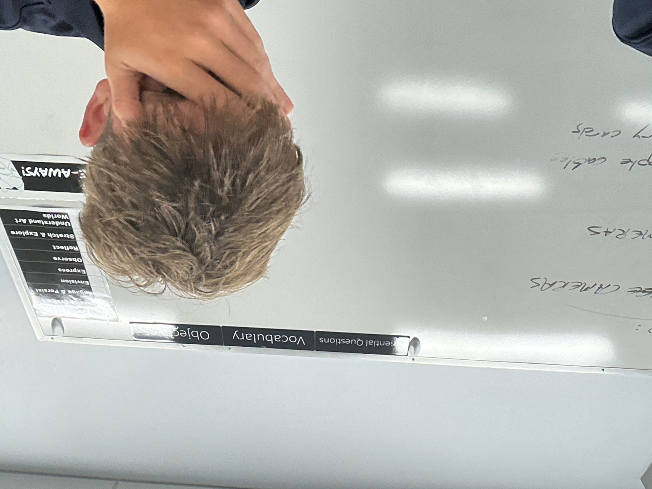 Photo Blank Meme Template